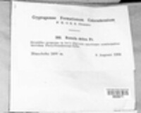 Image Associated With the Occurence